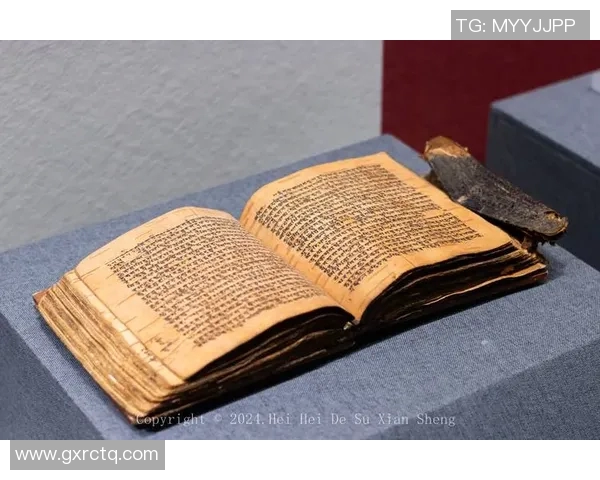 拉库尔的魅力探秘：揭开这座城市的历史与文化之美